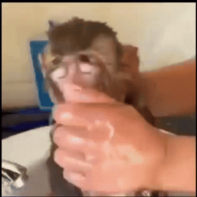 spanking my monkey